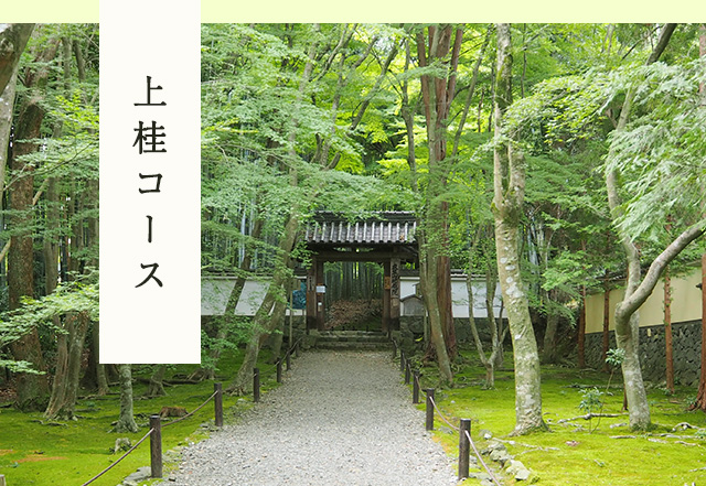 上桂コース